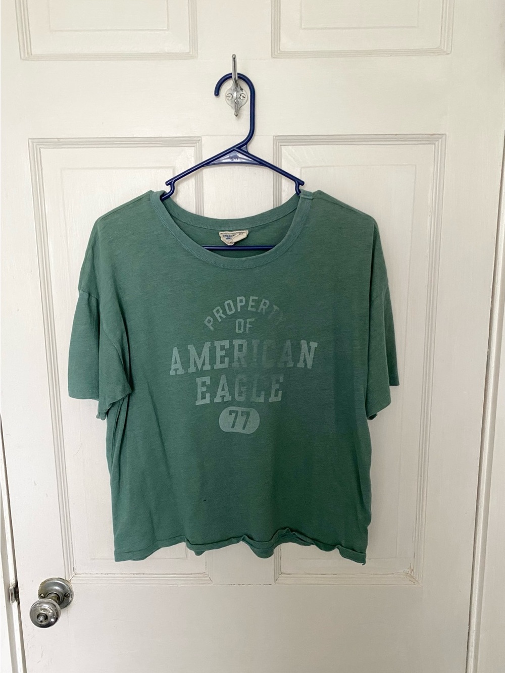 American Eagle Outfitters Green Graphic Crop Tee